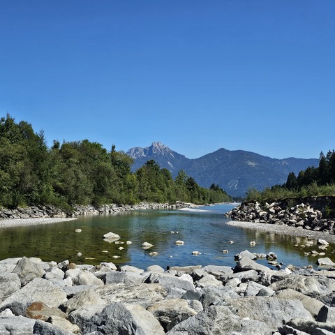 Geschiebefalle Hornberg